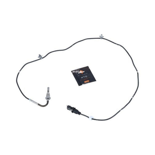 NRF Exhaust Gas Temperature Sensor before soot particulate fil 707185