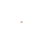 Bosch Sealing Ring Gasket 2 916 710 603