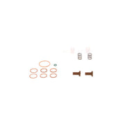Bosch Fuel Pump Repair Kit 2 447 010 004