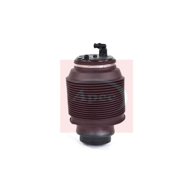 Apec Air Suspension Spring Rear Right AAS1192