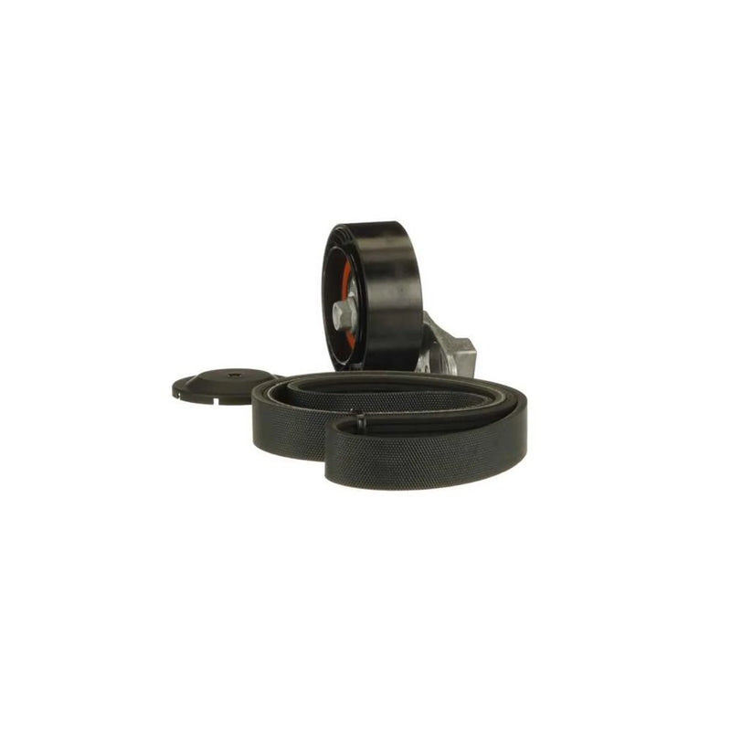 Gates V-Ribbed Belt Set K016PK989SF