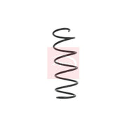 Apec Front Suspension Coil Spring ACS1638