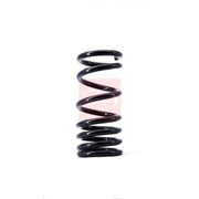 Apec Rear Suspension Coil Spring ACS1420