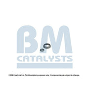 BM Catalysts Fitting Kit FK92089A FK92089A