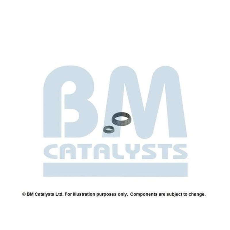 BM Catalysts Fitting Kit FK92089A FK92089A
