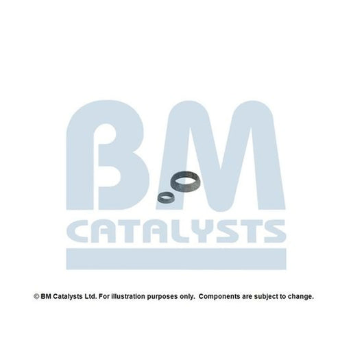 BM Catalysts Fitting Kit FK92089A FK92089A