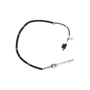 NRF Exhaust Gas Temperature Sensor before soot particulate f 707015