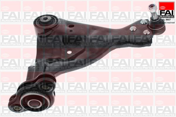 FAI Control/Trailing Arm