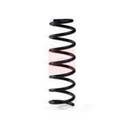 Apec Rear Suspension Coil Spring ACS1987