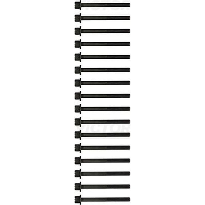 Victor Reinz Cylinder Head Bolt Set M11 14-55007-01