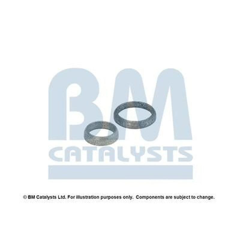 BM Catalysts Fitting Kit FK91567A FK91567A