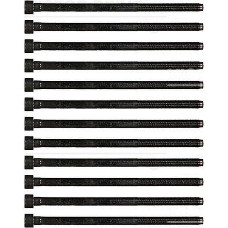 Victor Reinz Cylinder Head Bolt Set M12 14-35779-01