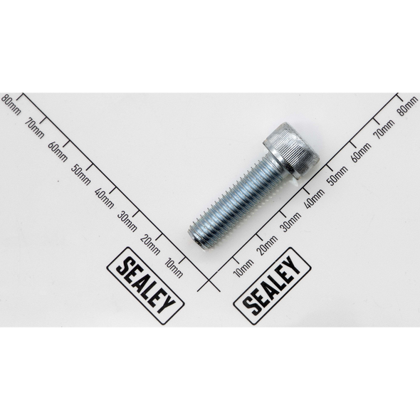 Sealey Bolt (m8x25)