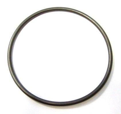 Elring 893.189 Seal Ring