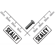 Sealey Carbon Brush Holder Screw (A)