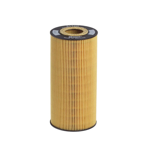 Hengst Engine Oil Filter E172H D35