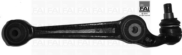 FAI Control/Trailing Arm