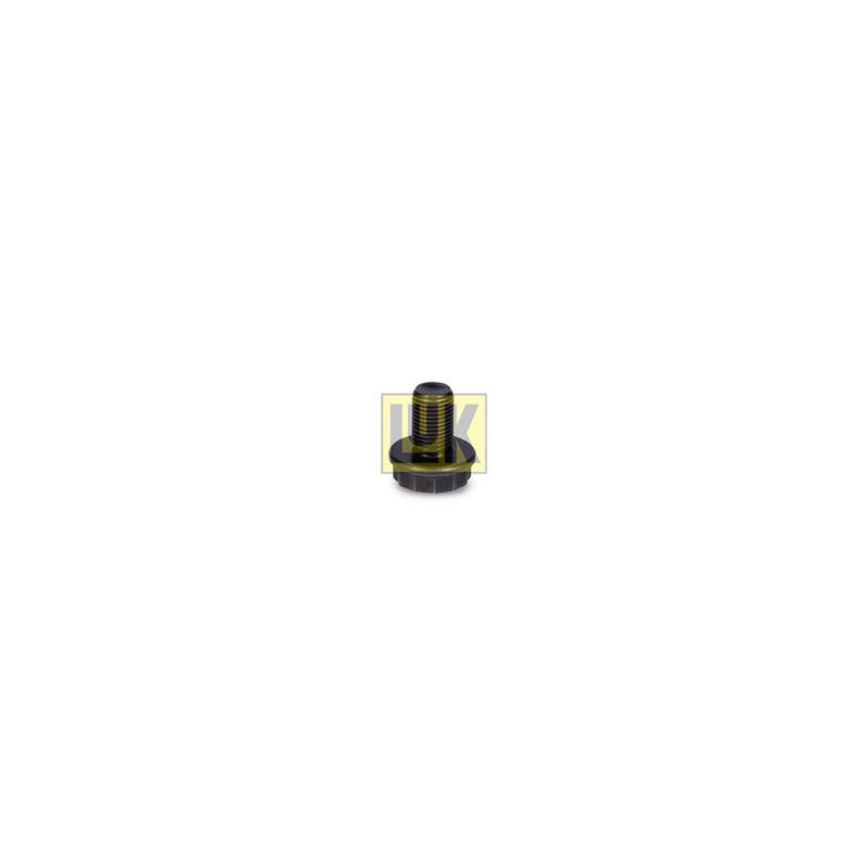 LuK Dmf Bolt Fitting Kit 411015611
