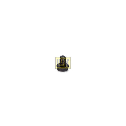 LuK Dmf Bolt Fitting Kit 411015611