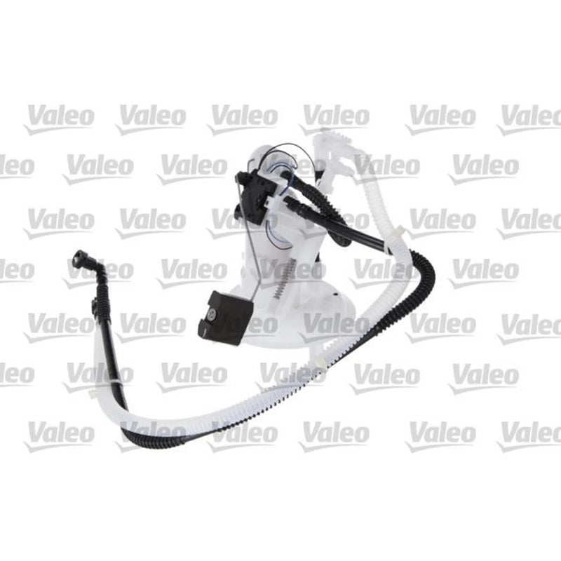 Valeo Fuel Pump Assembly 348713