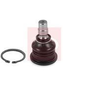 Apec Ball Joint Front Right AST0272