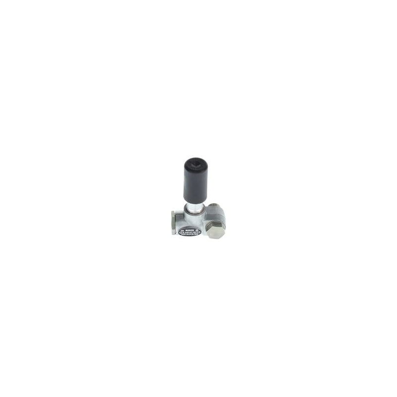Bosch Fuel Pump Assembly 0 440 011 021