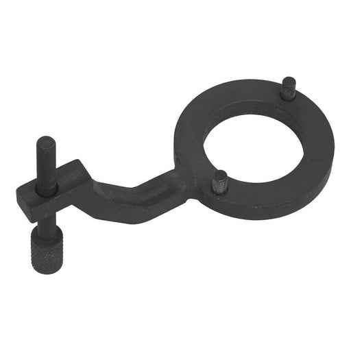 Sealey Fuel Pump Holding Tool for Jaguar Land Rover 3.0D TDV6 Belt Drive Sealey  - Town Parts