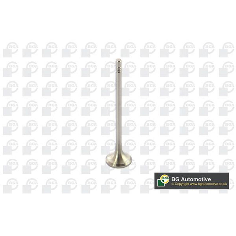 BGA Engine Exhaust Valve 21mm Head V591501