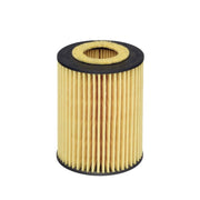 Hengst Engine Oil Filter E820H D245