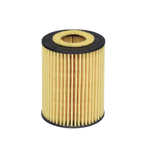 Hengst Engine Oil Filter E820H D245