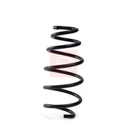 Apec Front Suspension Coil Spring ACS2255
