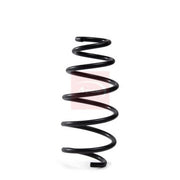 Apec Front Suspension Coil Spring ACS2255
