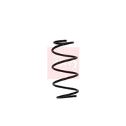 Apec 2 x Suspension Springs ACS1606