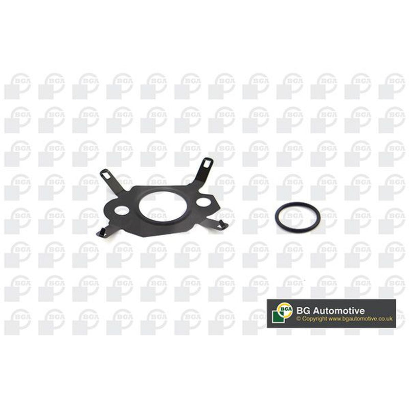 BGA Gasket Set, Egr System AG1444