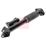Apec Shock Absorber Damper Strut Rear Left ASA2022