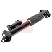 Apec Shock Absorber Damper Strut Rear Left ASA2022