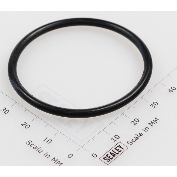 Sealey Seal