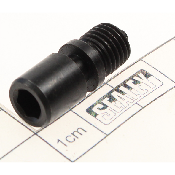 Sealey Screw