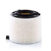 MANN-FILTER Engine Air Filter C 17 010