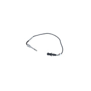 NRF Exhaust Gas Temperature Sensor before soot particulate f 707168