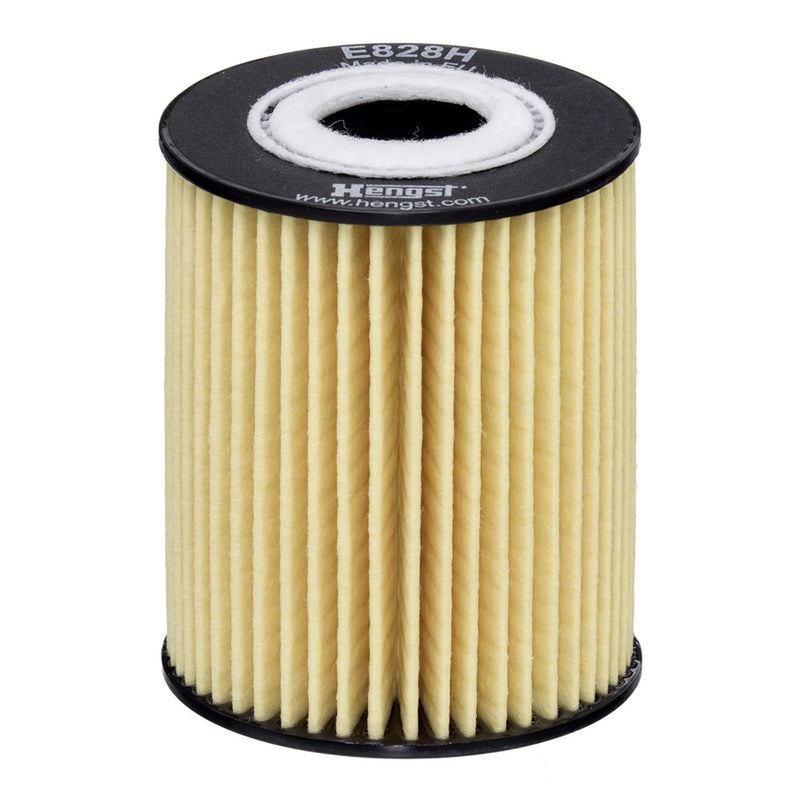 Hengst Engine Oil Filter E828H D292