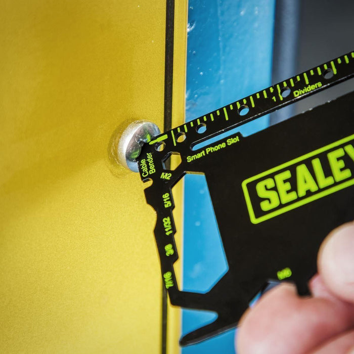 Sealey MOT Tool Board with Tools MOTBKIT Sealey  - Town Parts