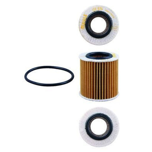 Mahle Engine Oil Filter OX 834D