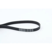 Continental CTAM Multi V-Ribbed Drive Belt 5PK1150