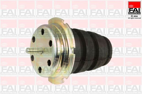 FAI Axle Strut Mounting OD ID