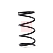 Apec Front Suspension Coil Spring ACS2166