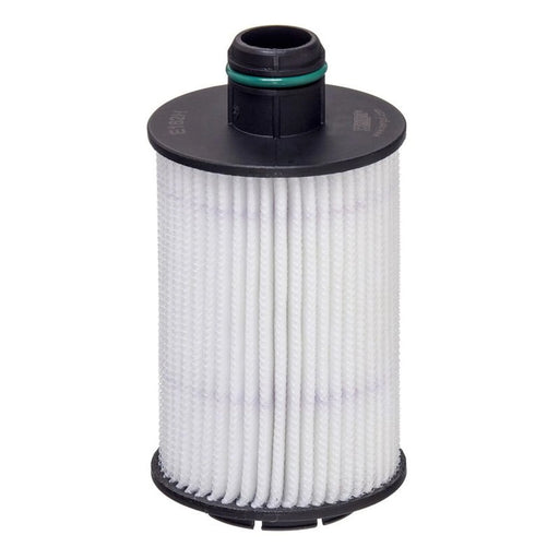 Hengst Engine Oil Filter E162H D249