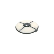 Bosch Engine Air Filter 1 987 429 122