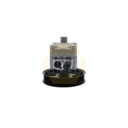 NAPA Power Steering Hydraulic Pump NPS1049