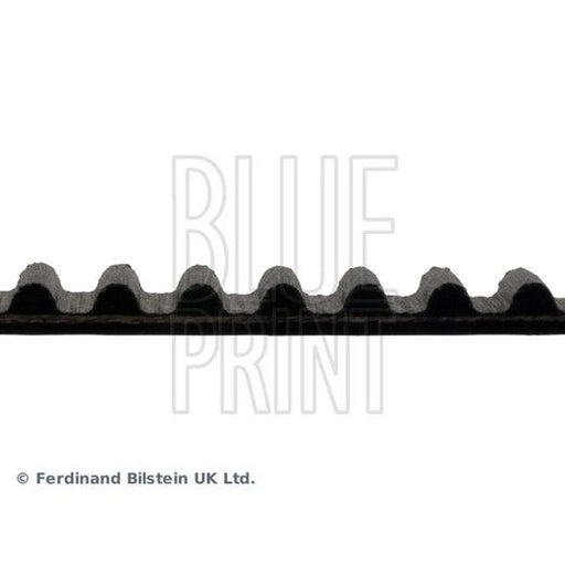 Blue Print Timing Belt Cambelt 129 Teeth ADM57536